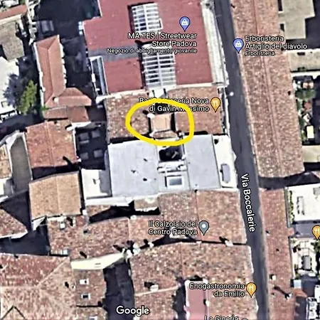Dei Frutti Pieno Centro - Il Cedro *