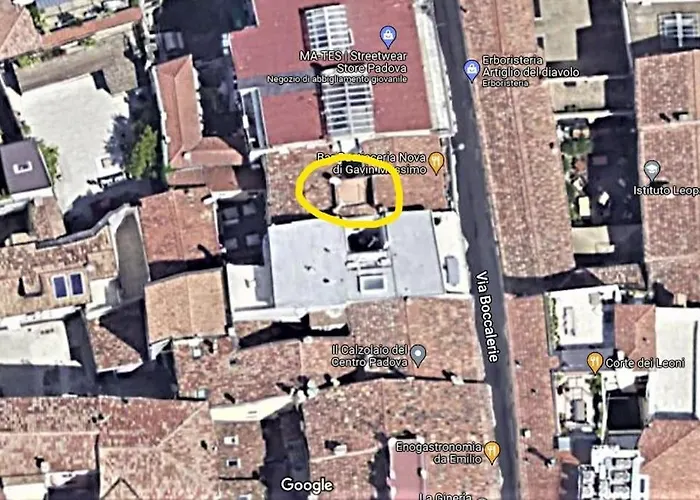 Dei Frutti Pieno Centro - Il Cedro *